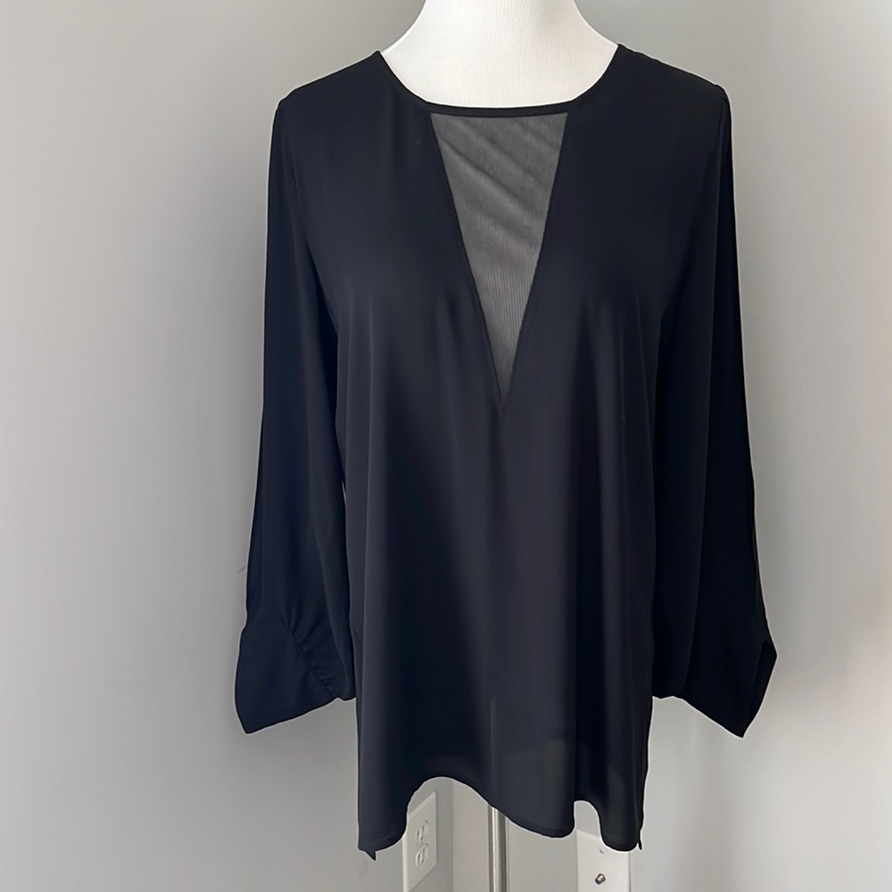 Express Black Sheer V-Panel Long Sleeve Blouse